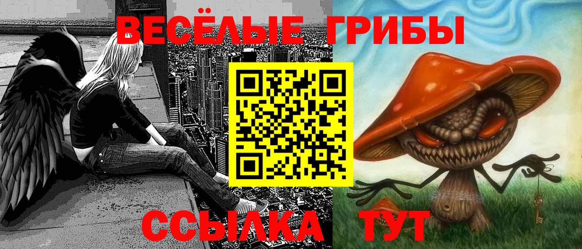 Псилоцибиновые грибы Psilocybe  купить   Берёзовский  Вход с VPN 