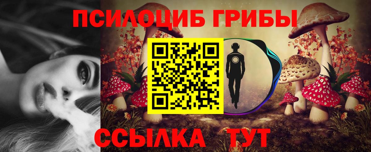 Галлюциногенные грибы GOLDEN TEACHER Берёзовский